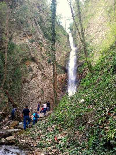 Cumayeri Dokuzdeğirmen Köyü
